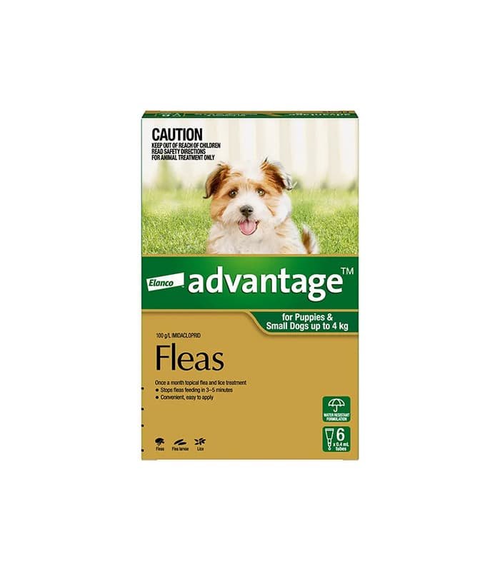 pet product dogs health 2 0.jpg