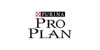 pt brand pp